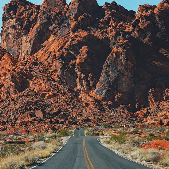 Sendero arbolado que invita a una caminata tranquila